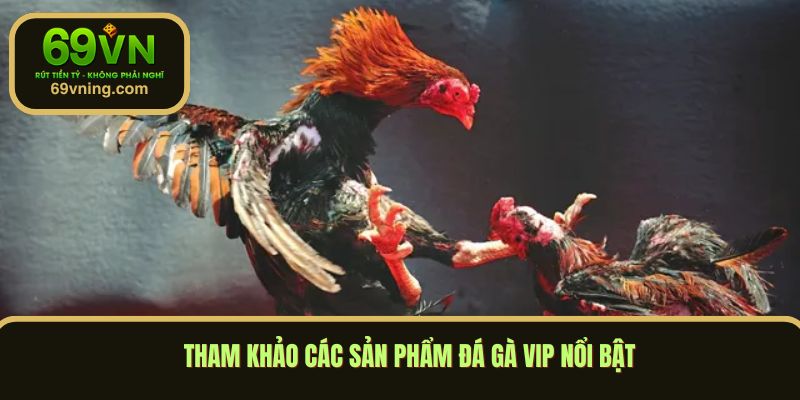 Tham khảo các sản phẩm đá gà vip nổi bật