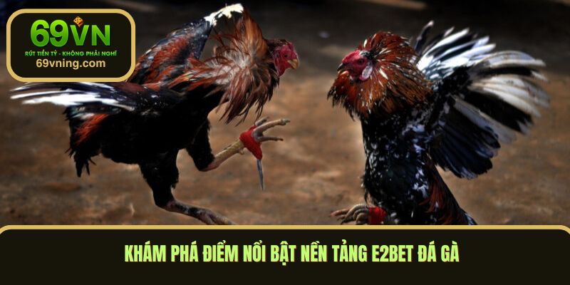 Khám phá điểm nổi bật nền tảng E2bet đá gà