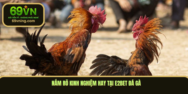 Nắm rõ kinh nghiệm hay tại E2bet đá gà
