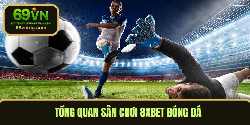 Tổng quan sân chơi 8xbet bóng đá